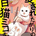 Miko, cô mèo trắng muốn được yêu thương