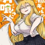 Cô Nàng Hồ Ly Katabami-San