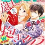 Arashi-kun no Dakimakura