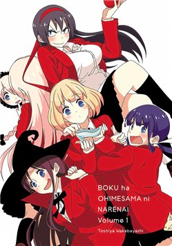 Boku Wa Ohime-Sama Ni Narenai