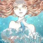 Chàng Tiên Cá Bị Giam Cầm Trong Hồ Nhà Tôi