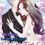 Gả Cho Tình Cũ Làm Lão Bà