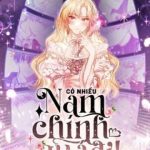 Có Nhiều Nam Chính Quá Đi!