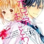 Kamiki Kyoudai Okotowari