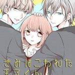 Kimi wa Kowareta Ouji-kun