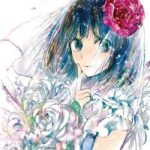 Kuzu no Honkai Décor