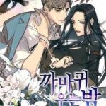 Màn Đêm Buông Xuống Là Khi Qụa Kêu