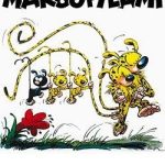 Marsupilami