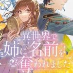 Ở Thế Giới Mà Chị Tôi Đã Lấy Tên Của Tôi