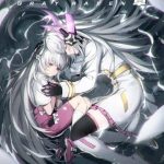 Punishing Gray Raven: Interlude