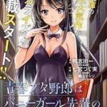 Seishun Buta Yarou wa Bunny Girl Senpai no Yume o Minai