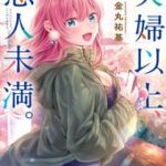 Trên Vợ Chồng, Dưới Người Yêu