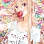 Stella To Mille Feuille