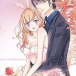 Tiểu Thời Quang Của Toronto