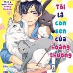 Tôi là con sen của Hoàng thượng