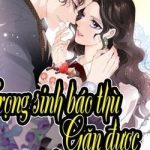 Trọng Sinh Báo Thù Gặp Được Bá Đạo Tổng Tài