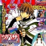 Tsubasa World Chronicle