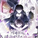 Vì kết cục có hậu cho cuốn tiểu thuyết Bi kịch